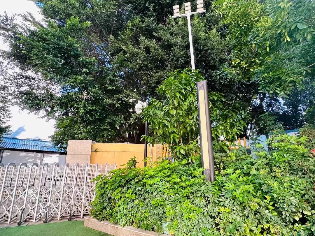 北京商场门禁系统维护保养指南：守护商场安全与秩序的秘诀